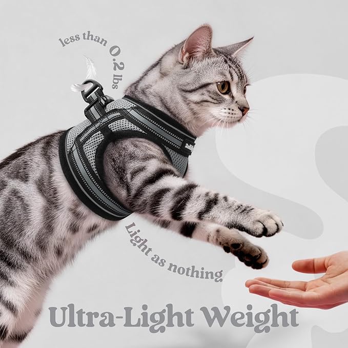 rabbitgoo Cat Harness and Leash Set for Walking Escape Proof, Adjustable Soft Kittens Vest with Reflective Strip for Cats, Comfortable Outdoor Vest, Grey, L