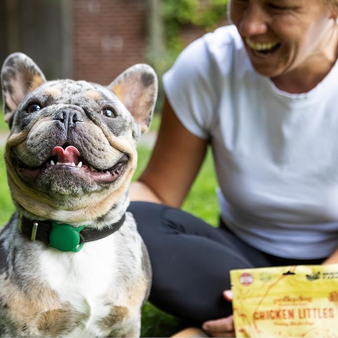 Polkadog Chicken Littles Crunchy Training Bits 3 Pack - All Natural, Limited Ingredient, Training Treats for Dogs. Great for Allergies, Handcrafted in USA - 7oz (3pk)