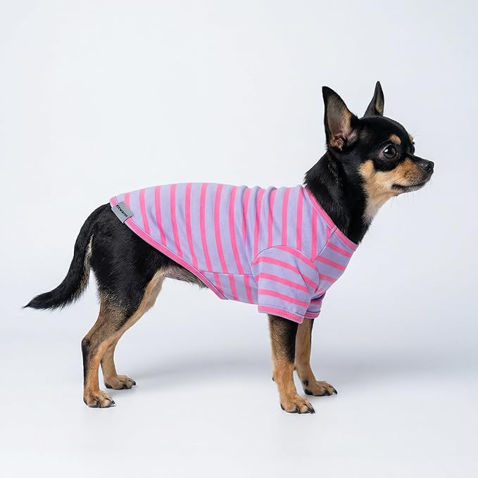 Fitwarm 3 Pack Color Block Striped Dog Shirt, Summer Dog Clothes for Small Dogs, Breathable Lightweight Dog Tshirt, Pet Outfit, Pink, Orange, Purple, XS