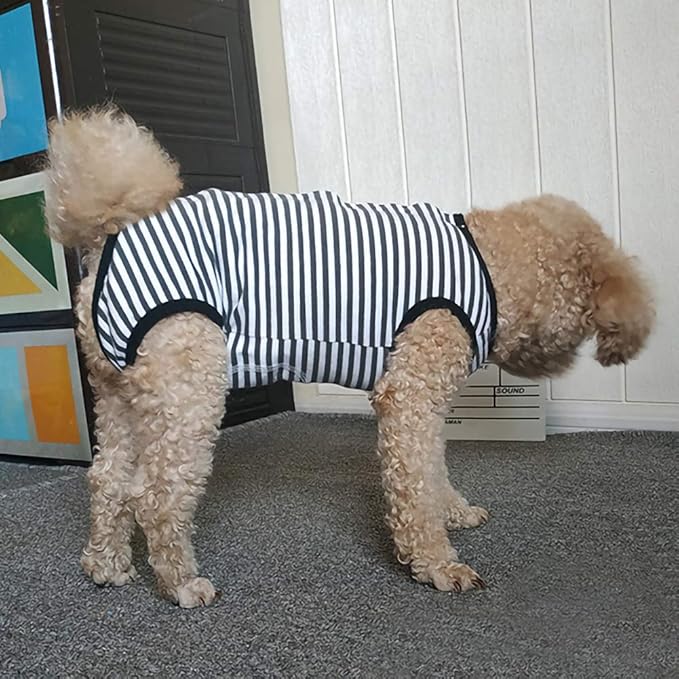Dog’s Recovery Suit Post Surgery Shirt for Puppy, Wound Protective Clothes for Little Animals(Black White Stripe-m)