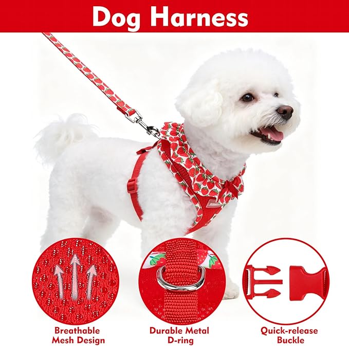 EXPAWLORER Cute Dog Harness Collar Leash Set - Red Girl Dog Harness Checkered Step-in Design, Adjustable No-Choke Lightweight Mesh Vest for Cats Puppy Small Dogs, Strawberry M