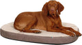 KERBL Matelas à Mémoire Forme Ovale pour Chien 100 x 65 x 8 cm