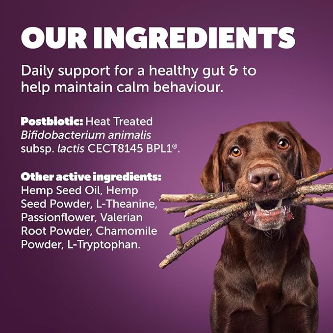 Protexin Daily Care Gut+ Calming | 60 Dog Chews, Trout and Kale Flavor Dog Supplement | Probiotics for Dogs, Dog Postbiotics
