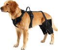 Vivifying Dog Hip & Leg Support Harness for Mobility Assistance, Adjustable Rear Leg Brace with Lift Handle for Injured or Senior Dogs, Joint Stabilizing Hind Leg Support for Walking, Recovery (XL)