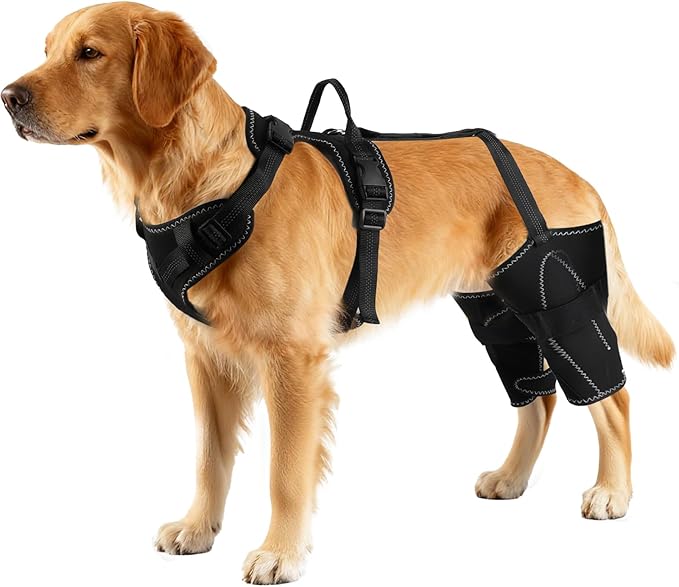 Vivifying Dog Hip & Leg Support Harness for Mobility Assistance, Adjustable Rear Leg Brace with Lift Handle for Injured or Senior Dogs, Joint Stabilizing Hind Leg Support for Walking, Recovery (L)