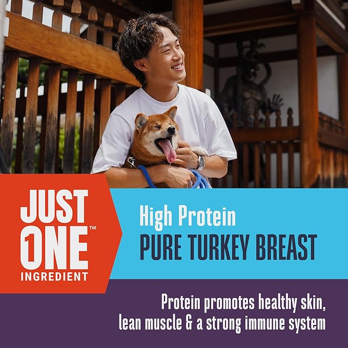 Whole Life Dog Just One Turkey Freeze Dried Dog Treats - Human Grade High Protein Food, Healthy Training Snacks, Freeze Dried Food Toppers, USA Made Natural Treats - 10 oz (Value Pack of 1)