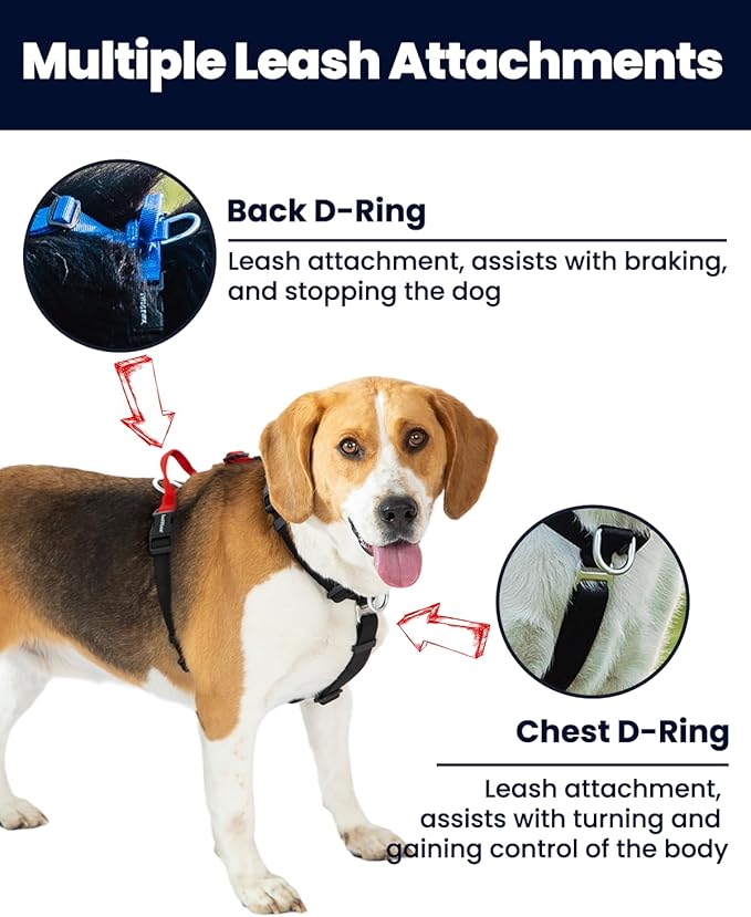 Non Restrictive No Pull Dog Harness, Neck Buckle Desgin, Lightweight Easy Walk Freedom Harness, Six Points Adjustment, Small Dogs Chest(17-23inches) Blue/Black