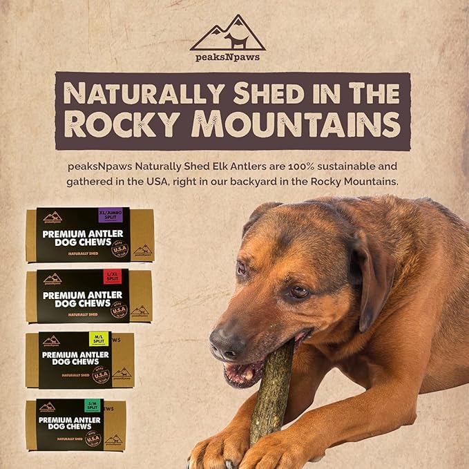 peaksNpaws Premium All-Natural Grade A Split Elk Antlers for Dogs – Naturally Shed in The Rocky Mountains – No Additives, No Preservatives - Healthy and Delicious Treat - Made in USA - S/M Split