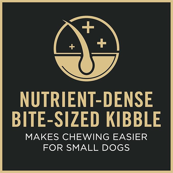 Purina Pro Plan Small Breed 7 Plus Shredded Blend Chicken and Rice Formula Senior Dog Food, 6 lb Bag, High Protein, Supports Joint Health