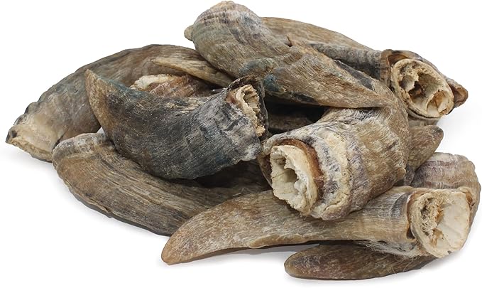 Icelandic+ Lamb Horn with Marrow - Small - 4-5.5" Dog Chew, Long-Lasting Treat, Puppy-Small Dogs, Keratin, All-Natural, Pet Snack, Edible & Digestible