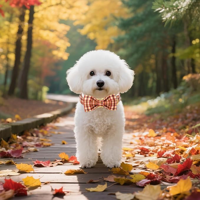 Unique style paws Cotton Dog Collar with Bow Autumn Puppy Collar with Colorful Orange Grid for Small Medium Large Boys Girls Dogs