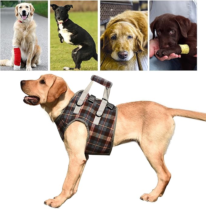 Dog Lift Harness, Adjustable Rear Leg Support Sling with Breathable Polyester, Mobility Aid for Disabled and Senior Dogs (L (20‑30kg / 44.1‑66.1lb Recommended))