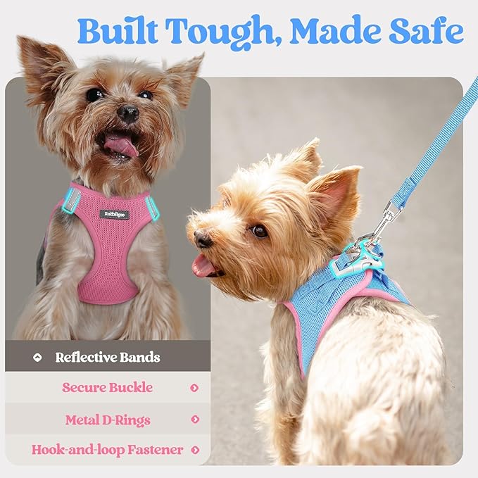rabbitgoo Dog Harness Small Sized and Leash Set, Step in Soft Light Puppy Vest, Breathable Mesh Pet Harness, Reflective for Safe Easy Walking, Blue & Light Pink S