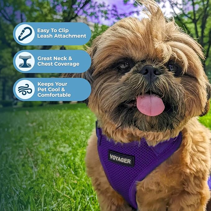 Best Pet Supplies Voyager Step-in Lock Pet Harness w Reflective Pet Leash Combo Set with Neoprene Handle 5ft - Supports Small, Medium and Large Breed Puppies/Cats - Purple Set, S