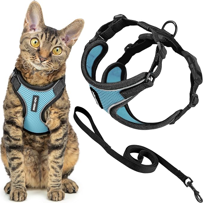Voyager Escape-Proof Step-in Lock Cat Harness & 5ft Neoprene-Handle Leash Set All-Weather Mesh with Reflective Stitching for Small to Large Cats by Best Pet Supplies, Black Trim-Baby Blue (327), XXXS