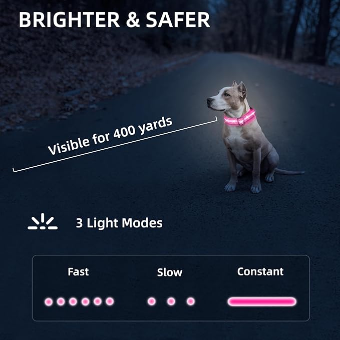LED Dog Collar for Small Dogs Cats - Fully Waterproof & Adjustable Glow Collar - USB-C Rechargeable for Night Walking, Safety - Flashing Lighted Collar for Dogs(Pink,XS)