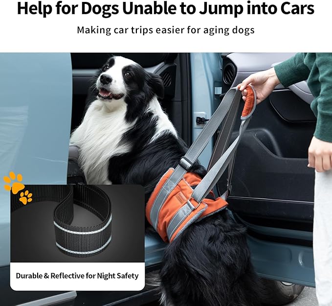 Dog Sling for Back Legs Dog Lift Harness Magic Tape Hip Support Harness Rehab to Help Senior,Injured,Arthritis,Hip Dysplasia,Weak Rear Leg,Disabled,After ACL/CCL Surgery,TPLO Dogs (Brown, L)