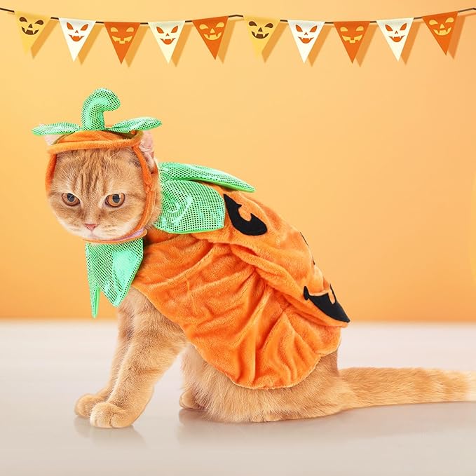 Huhumy 2 Sets Pet Pumpkin Costume Cat Halloween Cloak Hat Set for Dog Cat Halloween Costumes Pumpkin Hat for Dogs Puppy Poncho Small Medium Pets Cosplay