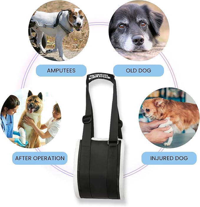 Adjustable Dog Lift Harness – Rear Leg Support Sling for Large Dogs | Mobility Aid for Senior, Injured & Post-Surgery Pets, ACL Surgery Dogs | Soft, Durable & Comfortable