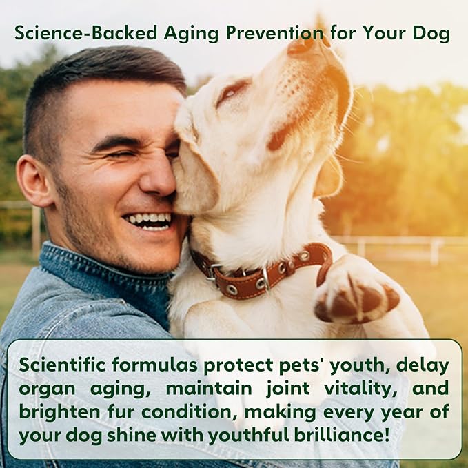 NMN Supplement for Dogs NAD+ Booster - Anti-Aging & Longevity Soft Chews for Senior Dogs with Resveratrol, CoQ10, Glucosamine & Omega-3-3-in-1 Cellular Energy, Joint & Skin Support