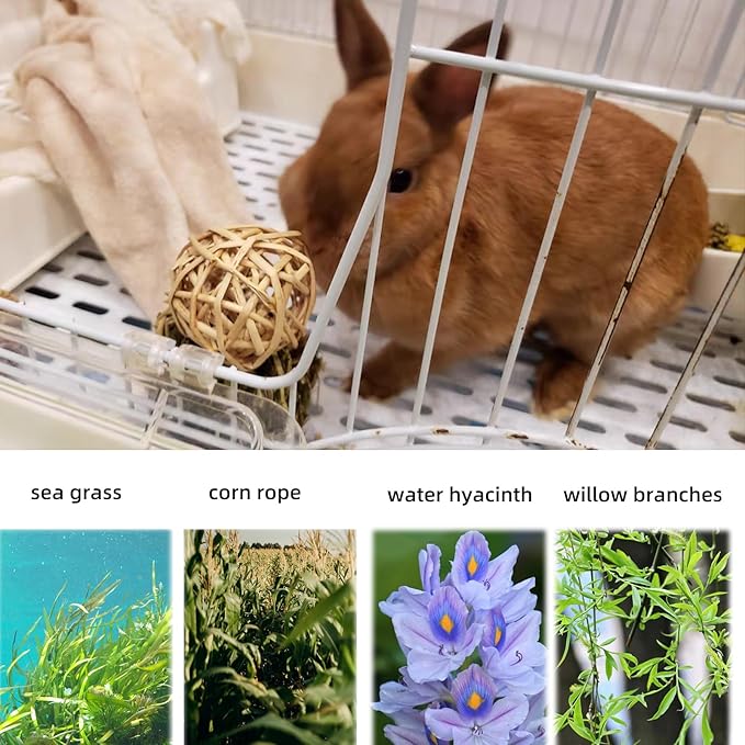 Hamiledyi 30PCS Rabbit Grass Balls 1.96in Guinea Pig Balls Small Animal Activity Enrichment Toy for Bunny Chinchilla Hamster Gerbil Grinding Playing
