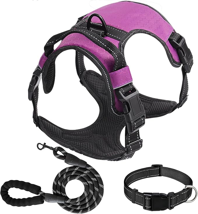 Dog Harness Set, No Pull Dog Vest Harness and 5ft Leash & Collar for Small Medium Sized Large Dog Cat,Adjustable Soft Nylon Padded Dog Vest Reflective Front Clip Vest with Easy Handle -Purple M
