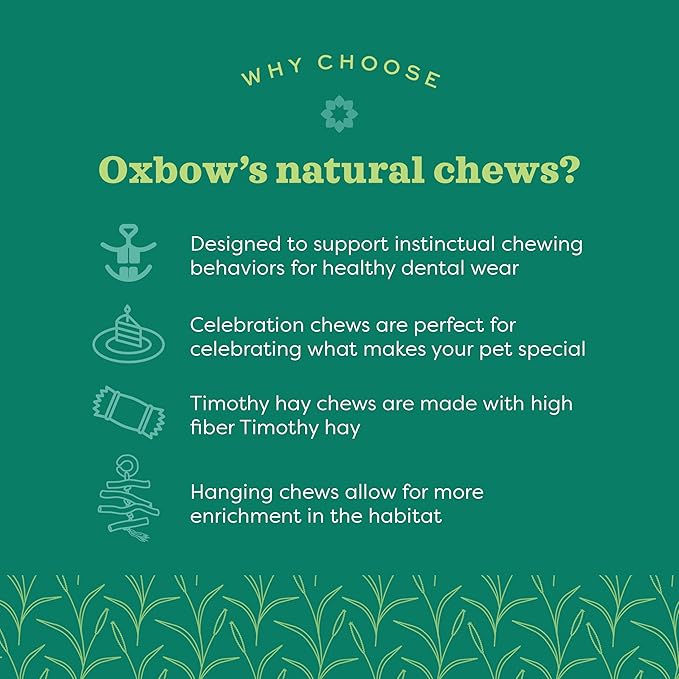 Oxbow Enriched Life Loco Ball, Rabbit Toys, Guinea Pig Toys, Enrichment for Bunny, Hamster, Rabbit, Chinchilla, Rat, Chinchilla Cage Accessories, Guinea Pig Accessories for Cage (Pack of 2)