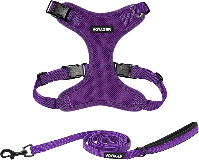 Best Pet Supplies Voyager Step-in Lock Pet Harness w Reflective Pet Leash Combo Set with Neoprene Handle 5ft - Supports Small, Medium and Large Breed Puppies/Cats - Purple, XL