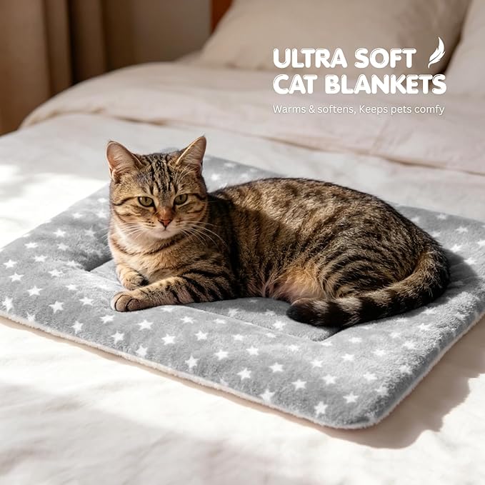 4 Pack Cat Bed Mat, 22" x 15" Soft Fluffy Flannel Small Pet Blanket, Washable Sleeping Pad for Indoor Cats, Kittens, Puppies, Star Print - Grey