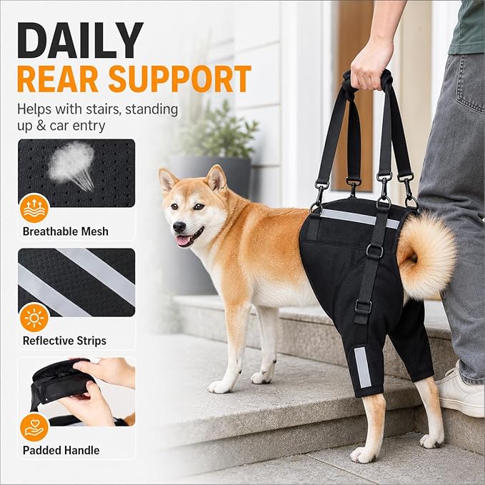 Dog Rear Leg Support Harness, Breathable Lift Assist for Large Dogs, Reflective Strips, Padded Handle for Stairs, Car Entry & Night Walks(XL)