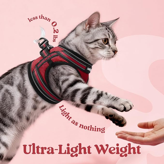 rabbitgoo Cat Harness and Leash Set for Walking Escape Proof, Adjustable Soft Kittens Vest with Reflective Strip for Cats, Comfortable Outdoor Vest, Red, L
