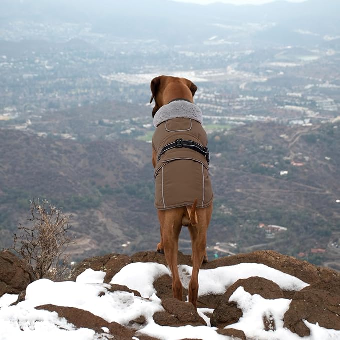 Lelepet Warm Dog Coats for Large Dogs Waterproof Dog Jacket Reflective Pet Fleece Vest Windproof Cold Weather Coats with Adjustable Buckle & Leash Hole, Brown, L