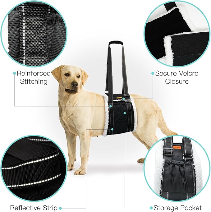 LumoLeaf Dog Lift Harness Sling for Back Legs, Adjustable Rear Leg Support & Mobility Aid, Hip Support for Senior/Disabled Dogs, Soft Fleece Lining, Padded Handles, for CCL/ACL Surgery (Black, Medium)