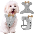 AVERYDAY Dog Tuxedo for Wedding Outfit, Dog Suit and Tie Costumes for Birthday, Halloween, Cosplay, Christmas Party, Pet Formal Wear with Bowtie, Tux for Small Dogs, Chihuahua, Bichon, Maltese, Cats