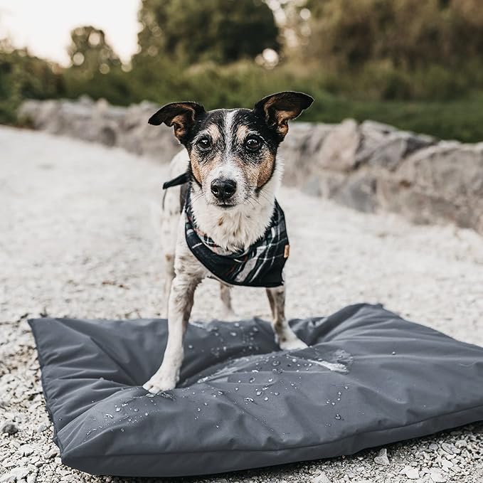 Dog Bed Cover for 36" L 27" W 3" H - 600D Oxford Waterproof with Zipper and Carry Handle - Washable, Cover Only (Gray)