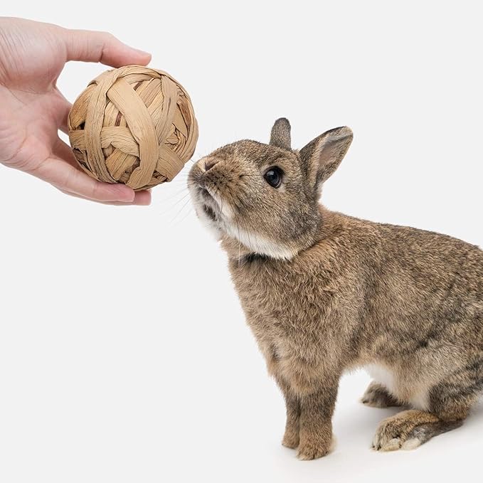 Natural Bunny Chew Toys Funny Safe Hay Grass Ball for Chinchilla Guinea Pig Rats Rabbits Hamster Gerbil Degu (4PC)