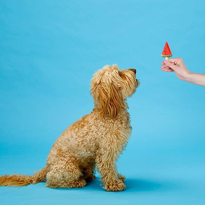 Pup Ice- Ready to Freeze at Home Dog Treats-Edible Chews for Small Breed Dogs & Puppies with Real Chicken to Keep Your Pup Cool Year Round, Fruity Lollies Watermelon Flavor, 3pcs
