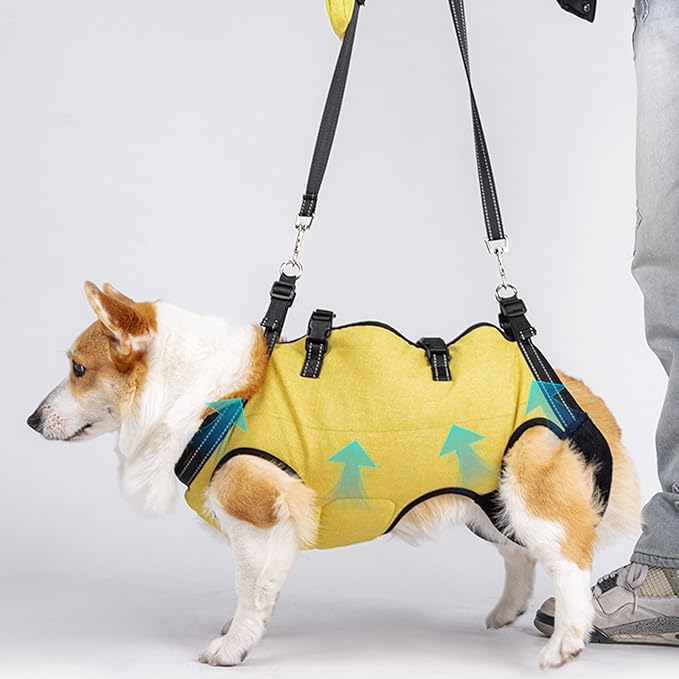 Senior Dog Lift Harness with Reinforced Padding for Post Surgical Let Adjustable for Outdoor Activity Dog Mobility Aid