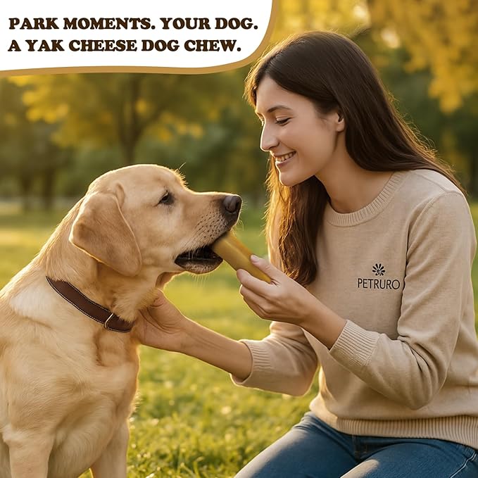 Yak Cheese Dog Chews – Long Lasting Hard Chew for Aggressive Chewers, 3-Ingredient Natural Dog Treats – High Protein, Odor-Free, Rawhide-Free for Large Dogs (Large - 3 Chews)