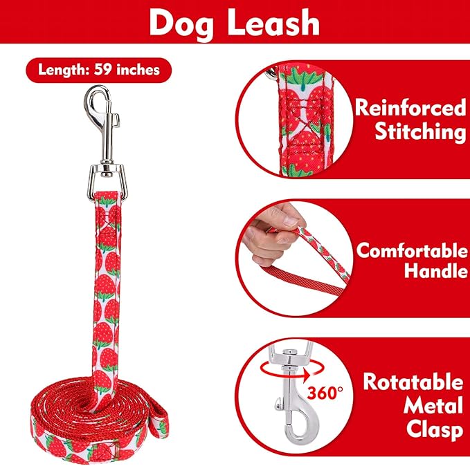 EXPAWLORER Cute Dog Harness Collar Leash Set - Red Girl Dog Harness Checkered Step-in Design, Adjustable No-Choke Lightweight Mesh Vest for Cats Puppy Small Dogs, Strawberry XS