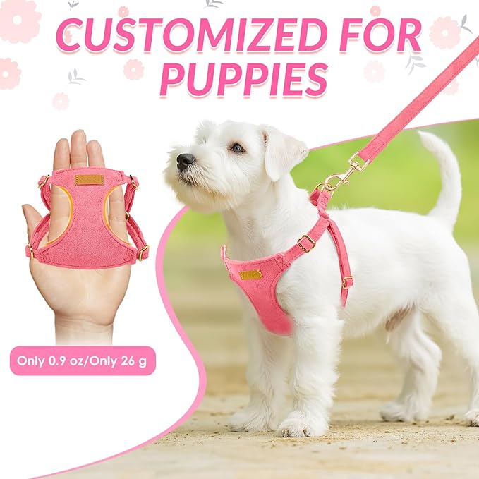 SlowTon Dog Harness Small Sized Dog - Soft XXS Dog Harness and Leash Set No Pull No Chock, Adjustable Lightweight Puppy Harness for XS Small Medium Dogs Cats (Solid Pink, M)