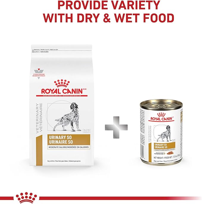 Royal Canin Veterinary Diet Canine Urinary SO Moderate Calorie Adult Thin Slices in Gravy Dog Food, 12.5 oz (Pack of 24)