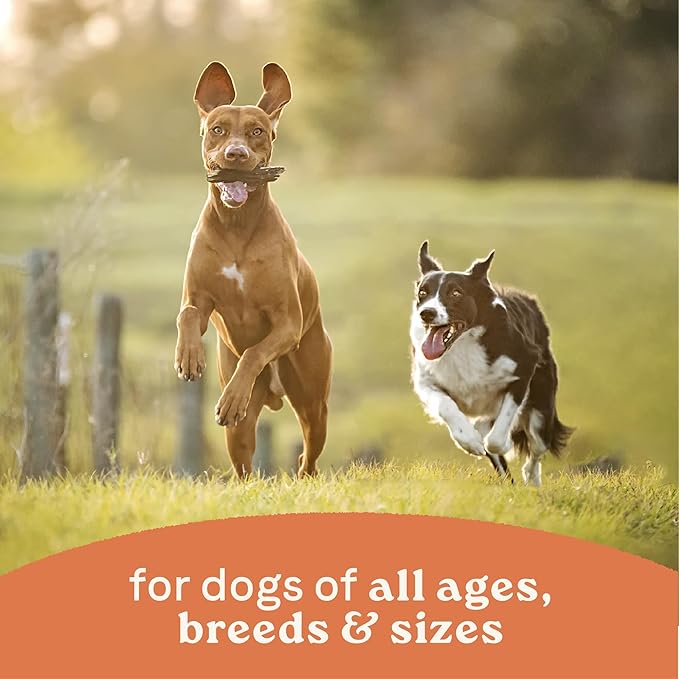 Canidae All Life Stages Premium Wet Dog Food for All Breeds, All Ages, Chicken & Rice Recipe, 13 oz. (Case of 12)
