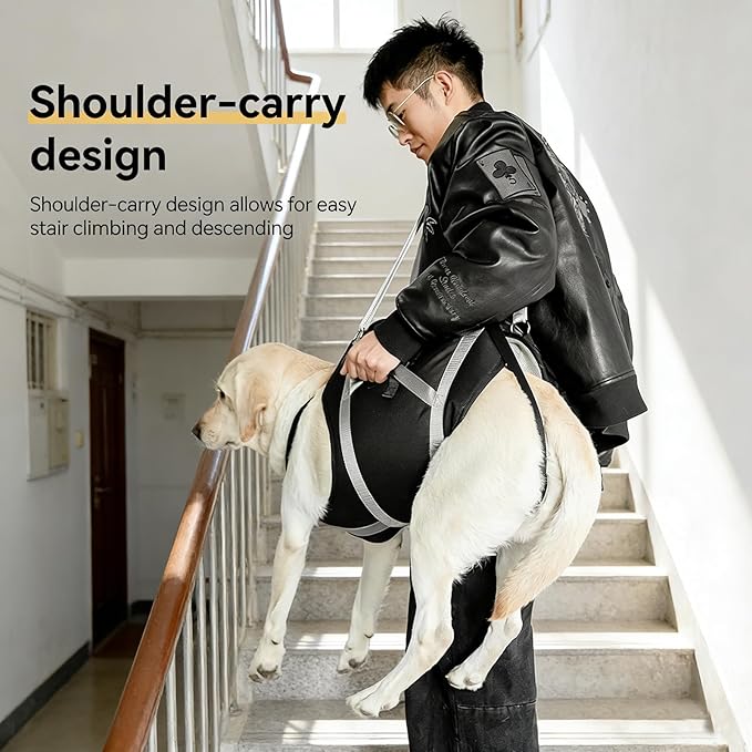 Dog Lift Harness for Senior & Injured Pets, Full Body Support Rehabilitation Dog Sling Carrier with Handles, Front/Rear Leg Assist for Arthritis, Hip Dysplasia & Post-Surgery Recovery XL