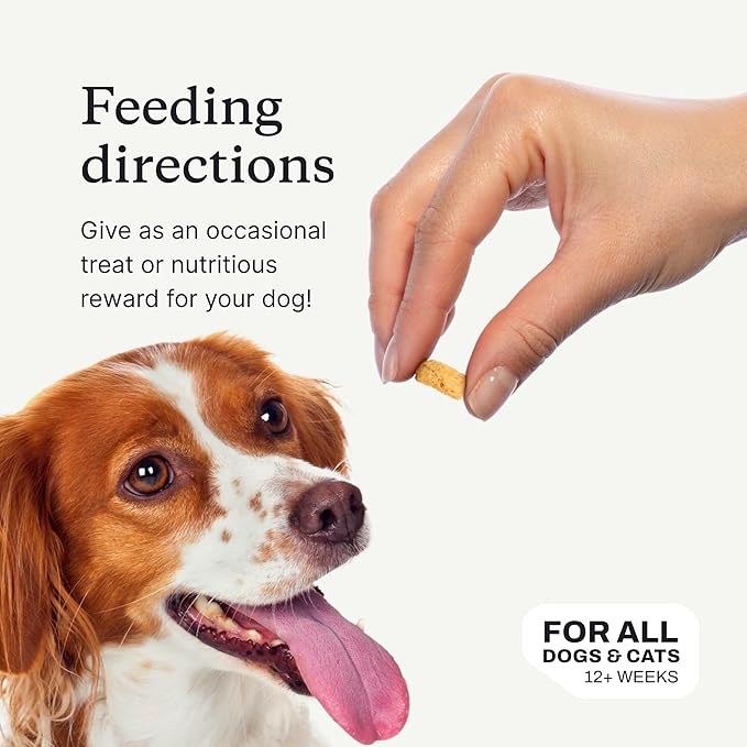 Petlab Co. Wild Caught Salmon Freeze-Dried Dog Treats, Support Overall Skin Health with Healthy Dog Treats, Packed with Beneficial Fatty Acids, Vitamins, & Minerals - Packaging May Vary