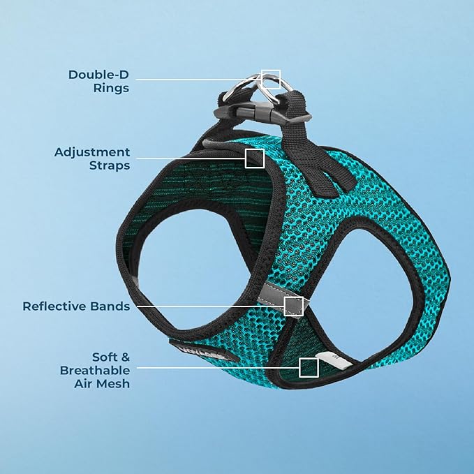 Best Pet Supplies - All Weather Mesh/Plush, Reflective, No Pull Harness for Small, Medium Dogs, Cats - Secure with Hook & Loop Fastener, Buckle, Double D-Rings - Turquoise 2-Tone, S
