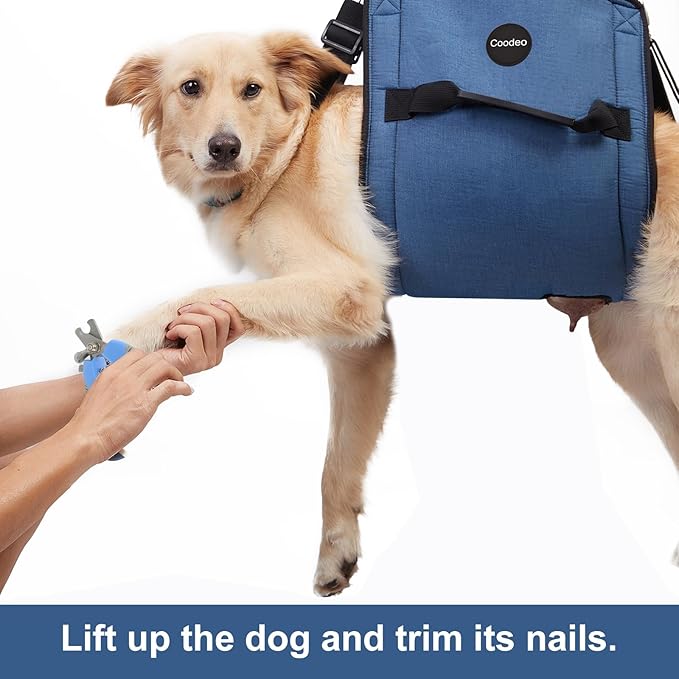 COODEO Dog Carry Sling, Emergency Backpack Pet Legs Support & Rehabilitation Dog Lift Harness for Nail Trimming, Dog Carrier for Senior Dogs Joint Injuries, Arthritis, Up and Down Stairs(2XL, Blue)