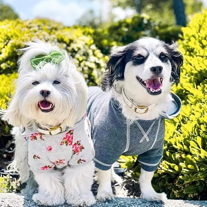 Blueberry Pet Essentials Hoodie – 22″ Cotton‑Blend Sweatshirt with Hood, Burgundy Red, Machine‑Washable Dog Jersey