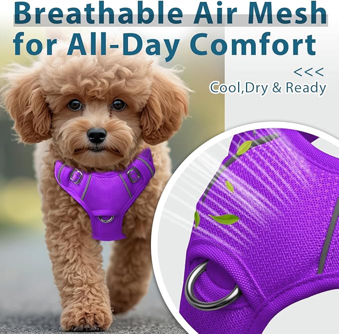 BARKBAY Dog Harness No Pull with ID Tag Pocket - Heavy Duty, Reflective, Easy Control for Large Dogs(Purple,S)