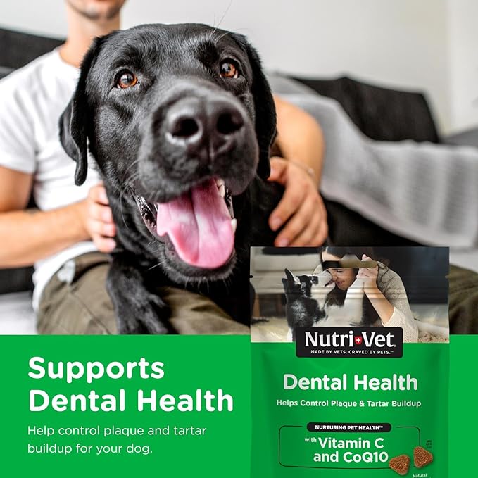Nutri-Vet Dental Health Soft Chews for Dogs, Puppy Essentials, Plaque Remover, Pet Supplies, Dog Breath Freshener, Promotes Healthy Teeth and Gums, Dental Chews, Natural Hickory Smoke Flavor, 70 Count